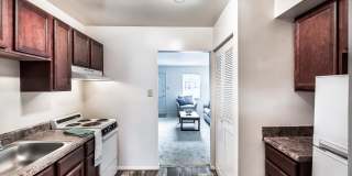 Misty Pines Gallery 16