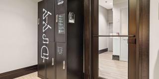 Cortland on South Eads Gallery 29