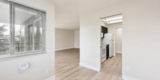 Arrive Magnolia Gallery 40