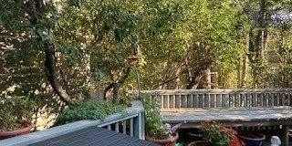 270 Cottage Walk Gallery 17