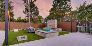 Vine at Panorama Gallery 25