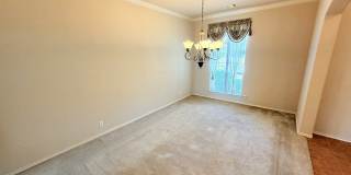 234 Gazelle Leap Gallery 6