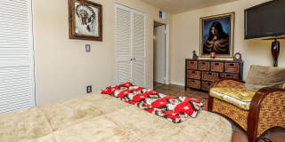 54200 Avenida Cortez Gallery 18