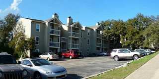 Hyde Park Oaks 106 - 1 Bed 1 Bath Gallery 15