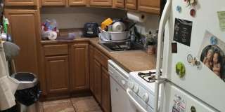 Great 4 Bedroom Available 9/1/26 Gallery 1