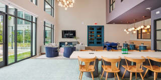 The Copeland The Copeland Gallery 33