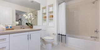 Bell Mt. Tam Gallery 8