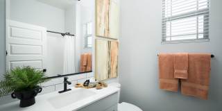 Canopy at Sundance Gallery 24