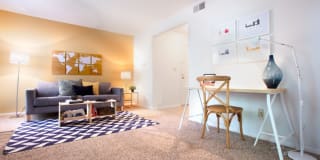 TGM Autumn Woods Gallery 3