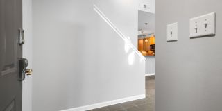 Miss Popular Gallery 4