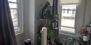 3848 TERRACE Street Gallery 1