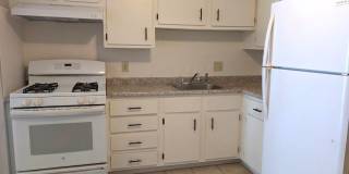 134 Mammoth Road Gallery 1