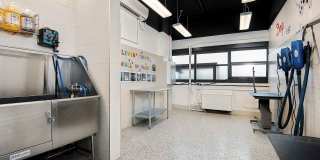 1128 S Michigan Ave Gallery 19