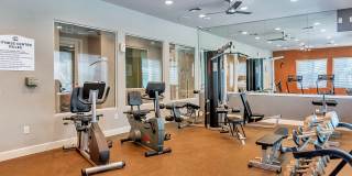 Copper Cove Gallery 17