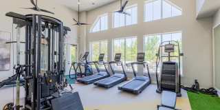 The Oasis Apartments Gallery 13