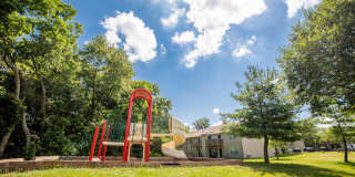 Timber Creek Gallery 6