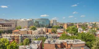 The Sedgewick Gallery 30