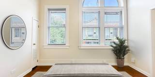 245 Losoya Gallery 15