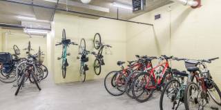 Garfield Park Gallery 12