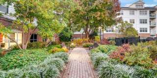 TGM Anchor Point Gallery 27