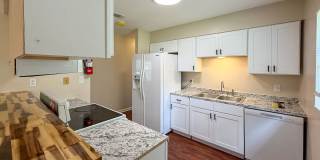 Move-in Ready Recently Updated 4BR/2BA House in Alachua! Gallery 1