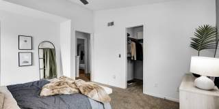 TGM Meadow View Gallery 53