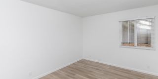 Ocean Vista Gallery 35