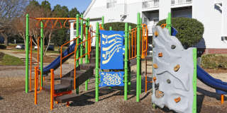 Coffey Creek Gallery 18