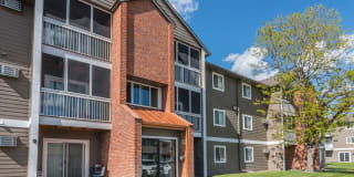 Prairie Tree Gallery 6