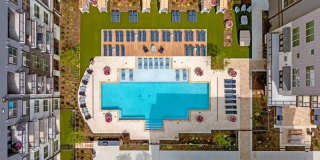 Valor at the Realm Gallery 21