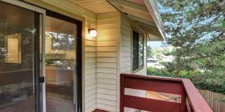 Foothills Gallery 19