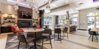 Koi Apartments Gallery 7