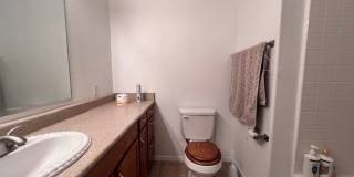 3 Br 2Ba House with Garage and fenced yard**FURNISHED** Gallery 19