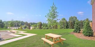 Surrey Green Gallery 28