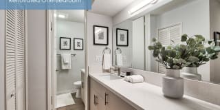 The Meadows - Newly Renovated Gallery 9