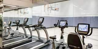 The Dylan The Dylan Gallery 21