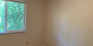 Mid-Town Single Family Home w/ Spacious Fenced Yard Gallery 13