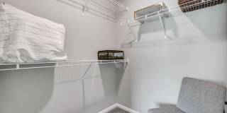 Kinsley Forest Gallery 8