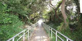 109 71st Street Gallery 26