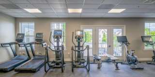 Wellington Parkside Gallery 12