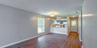 RENOVATED 2/1 w/ New Flooring/Paint, Fenced Yard, Deck, Walk In Closets, Granite Counters, & Stainless Appliances ! Avail NOW for $1295/month Gallery 5