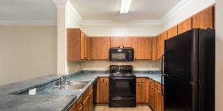 Angel Landing Gallery 5