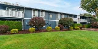 Village at Sota Gallery 2