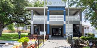 The Iris The Iris Gallery 8