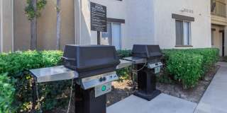 Carlyle Square Apartment Homes Gallery 5