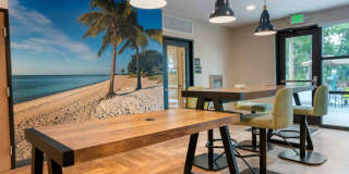 Daytona Beach - Ormond Beach Gallery 5