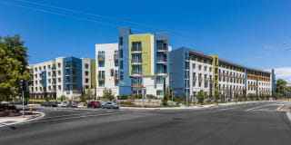 Vista 99 Apartments Vista 99 Apartments Gallery 9