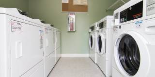 Savannah Place Gallery 18