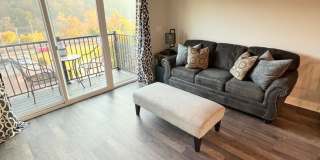 1 Bedroom Apartment in Lynchburg Gallery 5
