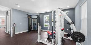 TGM Bull Run Gallery 36